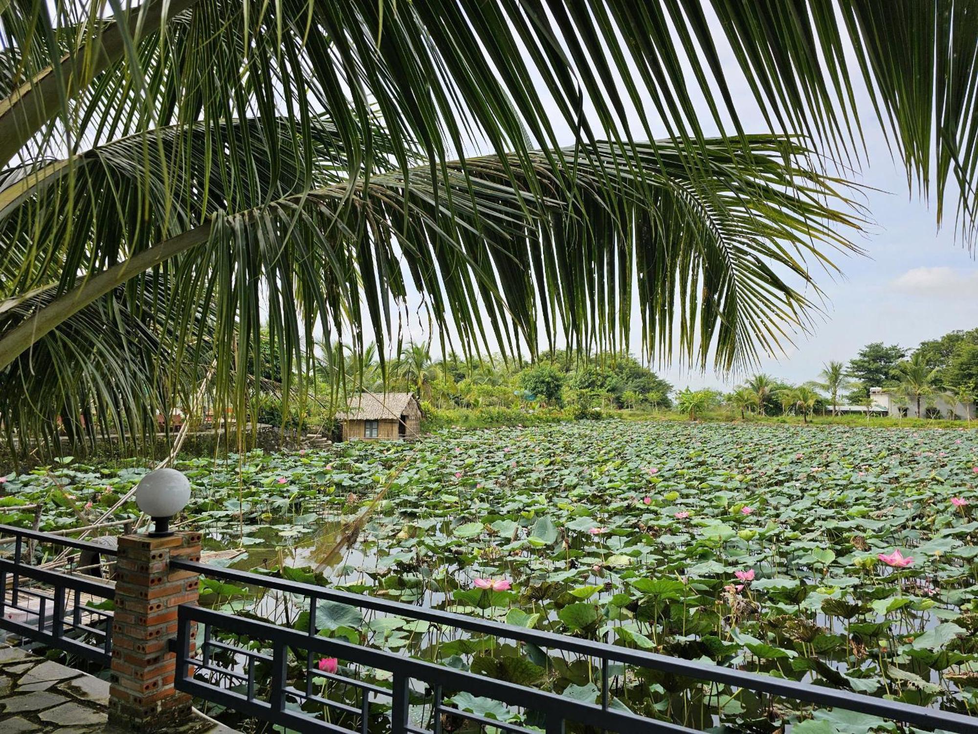 Phu Dien Homestay Каттьєн Екстер'єр фото